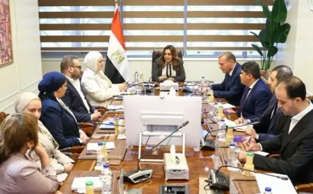 وزيرة التنمية تستعرض خطة العمل المحلية لمواجهة التغيرات المناخية