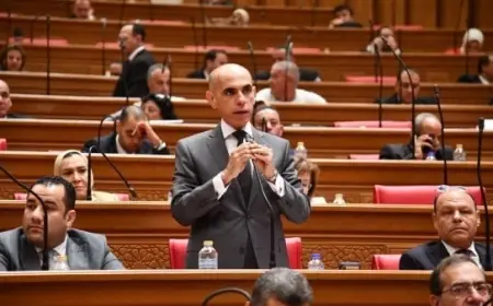 سؤال برلماني حول قانونية استثمار حديقة سوق روض الفرج موجه لرئيس الوزراء ووزيري التنمية والأوقاف