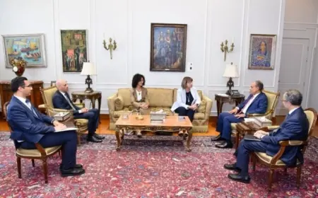 وزير الخارجية يودع المنسق المقيم للأمم المتحدة بمناسبة انتهاء مهمتها في مصر