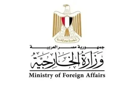 استهداف مطار أبو الظهور في سوريا يعد انتهاكًا صارخًا للسيادة المصرية