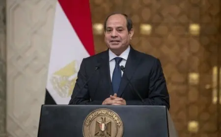 الرئيس السيسي يشدد على التزام مصر الراسخ بأمن واستقرار ليبيا