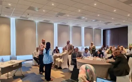 التعليم تستكمل تدريبات مكثفة لمعلمي اللغة العربية استعدادًا لتطبيق نظام البكالوريا المصرية