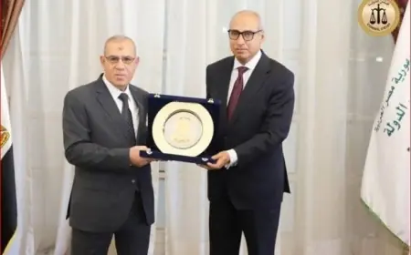 رئيسا مجلس الدولة والقضاء الأعلى يبرزون أهمية التعاون بين مؤسسات العدالة