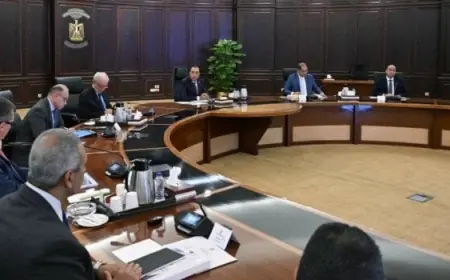 مدبولي يؤكد أن البرنامج الوطني للتحول الاقتصادي يهدف إلى تعزيز القدرة على مواجهة التغيرات والصدمات الاقتصادية