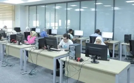 نتيجة تنسيق المرحلة الثانية 2026 تظهر الآن التعليم العالي تكشف التفاصيل وإجراءات الاستعلام