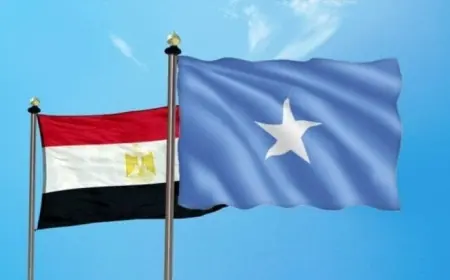 وزير الخارجية المصري يؤكد دعم مصر لوحدة الصومال وسيادته ويرفض أي محاولات لفرض ممر بحري لأغراض عسكرية
