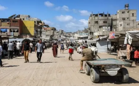 عبد العاطي يؤكد رفض مصر لتهجير سكان قطاع غزة ويوضح أن بقاء الشعب الفلسطيني على أرضه أمر لا يتNegotiable