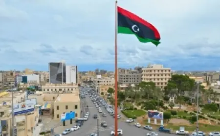 وزير الخارجية يحذر من خطر تقسيم ليبيا على الأمن القومي المصري ويدعو لتوحيد المؤسسات وإجراء الانتخابات