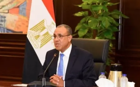 وزير الخارجية يكشف موقف مصر من المشاركة في التحالف البحري بعد دراسة الالتزامات العسكرية