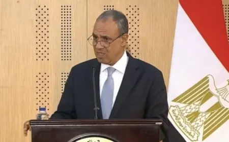 مصر تنبه لقوة التصعيد العسكري وتأثيره المدمر على المنطقة