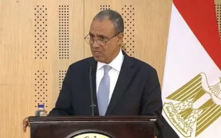 وزير الخارجية يؤكد أن أمن قطر ودول الخليج جزء أساسي من الأمن القومي المصري