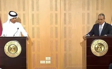 وزير الخارجية يؤكد ترحيب مصر بالاستثمارات القطرية ويسلط الضوء على أهمية زيادة التبادل التجاري