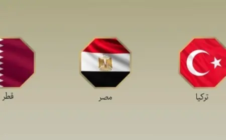 مصر وقطر وتركيا تتحد في إدانة التصعيد الإسرائيلي في غزة وتطالب بوقف إطلاق النار الفوري