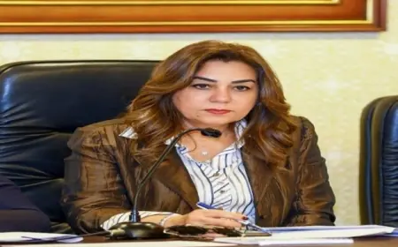 وزيرة التنمية المحلية تأمر بإزالة 26 عقارًا مخالفًا بالكامل في رأس البر