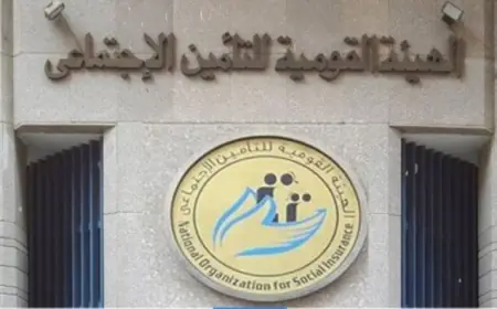 إقالة موظفة بالتأمينات العامة وإحالتها للتحقيق بسبب سوء تعاملها مع المواطنين