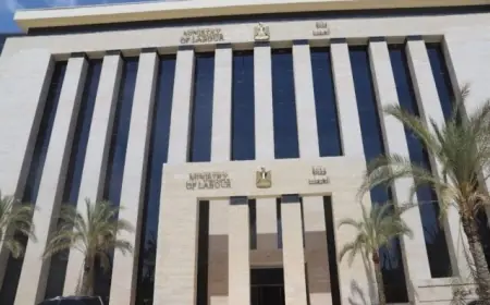 وزارة العمل تكشف عن وظائف جديدة برواتب تصل إلى 16 ألف جنيه شهريًا
