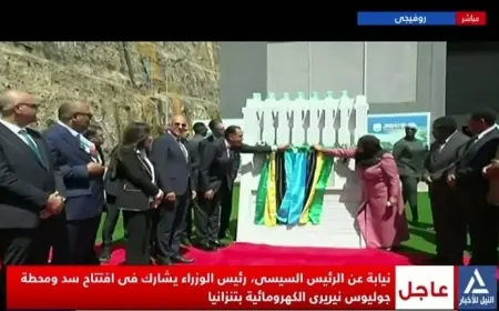 مدبولي يفتتح سد ومحطة جوليوس نيريري الكهرومائية في تنزانيا بنقل مباشر