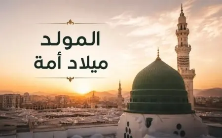 وزارة الأوقاف تؤكد أن الاحتفال بمولد النبي يعكس المحبة والتعظيم للمصطفى