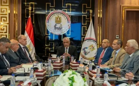 وزير الإنتاج الحربي يبرز أهمية تحديث منظومة صنع الذخائر بأعلى معايير الجودة