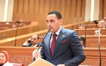 تحويلات المصريين بالخارج تعكس ثقتهم في الوطن وتعزز قوة الاقتصاد الوطني