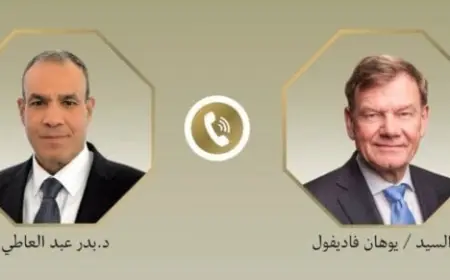 عبد العاطي يؤكد لنظيره الألماني تمسك مصر بحقوق الشعب الفلسطيني المشروعة