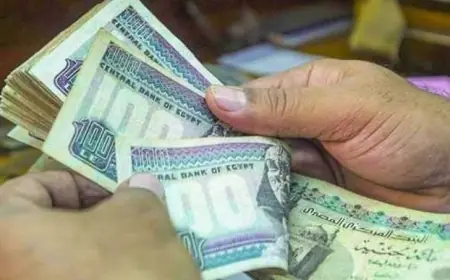 اكتشف كيفية حساب حصة أسرتك من الدعم النقدي الجديد وزيادة حرية اختيار السلع والخبز