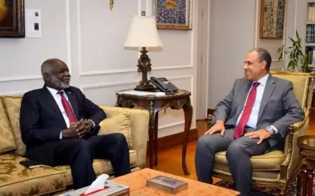 وزير الخارجية يعقد مباحثات مع وزير المالية السوداني لتعزيز التعاون ودعم جهود إعادة الإعمار