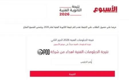 رابط مباشر لنتيجة الدبلومات الفنية الدور الثاني متاح الآن عبر شبكة ملتزم