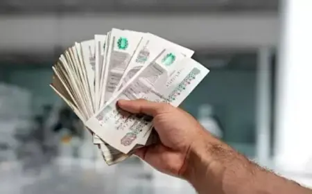 كل ما تحتاج معرفته عن موعد صرف منحة المولد النبوي الشريف 2026 والفئات المستحقة لها