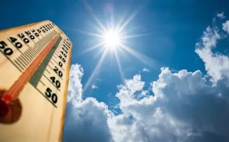 الأرصاد الجوية تحذر من طقس اليوم الحار والرطب مع شعور بحرارة تصل إلى 38 درجة في القاهرة