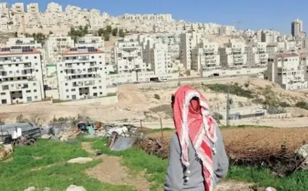 شبكة ملتزم توثق تطور الاستيطان الإسرائيلي من رأس العين إلى مشروع E1 من خلال قاعدتي بيانات