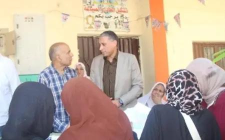 مدير تعليم الجيزة يقوم بجولة تفقدية في مدارس جنوب ويؤكد على أهمية إنهاء أعمال الصيانة بسرعة
