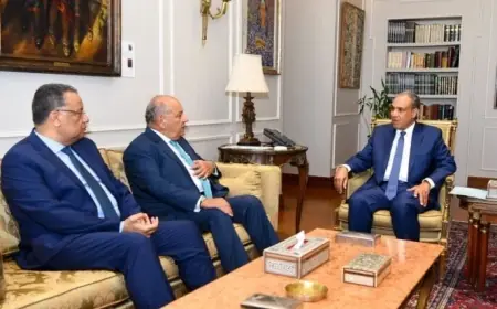 وزير الخارجية يستقبل وكيل مجلس النواب وعضو مجلس الشيوخ في لقاء دبلوماسي مهم
