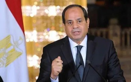 الرئيس السيسي يأمر بإحالة قضية مدرسة جلوبال إلى التحقيقات الفورية