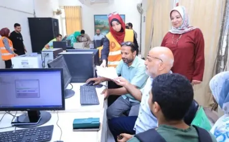 تنسيق الشهادات المعادلة لطلاب STEM كيفية التسجيل خطوة بخطوة ورابط التقديم