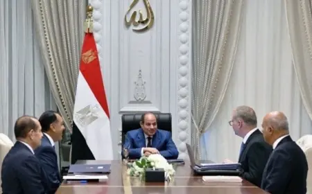الرئيس السيسي يشدد على ضرورة تعزيز القيمة المضافة للثروات المعدنية لدعم الاقتصاد الوطني