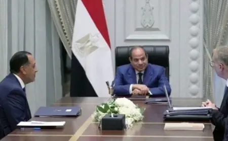 الرئيس السيسي يعزز قطاع البترول بحوافز جديدة لدعم البحث والاستكشاف وزيادة الإنتاج