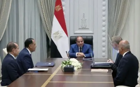 الرئيس السيسي يؤكد أهمية تعزيز إنتاج البترول والغاز وتحويل الأهداف إلى خطط تنفيذية فعالة