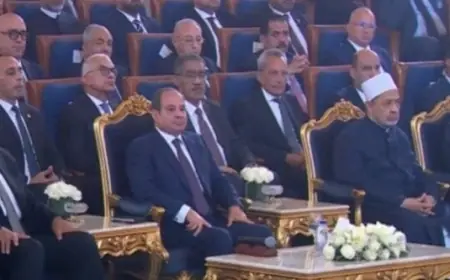 بث مباشر احتفال الرئيس السيسي بذكرى المولد النبوي الشريف في العاصمة الجديدة