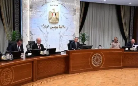 فروع جديدة لجامعات أوروبية وبرامج مبتكرة تأهل الطلاب لسوق العمل العالمي يوافق عليها الوزراء