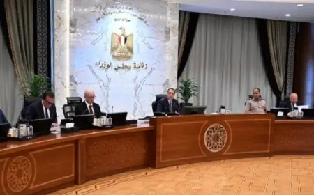 قرار مجلس الوزراء بتفعيل العمل عن بُعد يوم الأحد في سبتمبر 2026 يشمل جهات جديدة