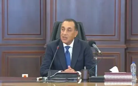 تحويل أرض المستعمرة بالمحلة الكبرى إلى مشروع عمراني متكامل تفاصيل مثيرة