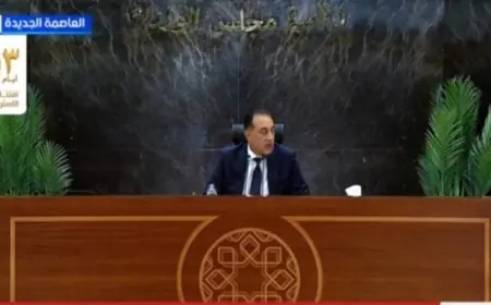 تخصصات مثيرة بجامعات إيست لندن ووسط لانكشاير في مصر تشمل الصيدلة وطب الأسنان والإعلام
