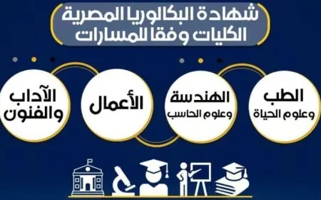 التعليم تكشف عن أفضل الكليات المتاحة ضمن مسارات نظام البكالوريا المصرية