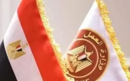 وظائف شاغرة للمهندسين والفنيين برواتب تصل إلى 16 ألف جنيه من وزارة العمل