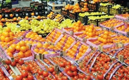 الصادرات الزراعية تحفز الاقتصاد القومي بزيادة 6.8 مليون طن منذ بداية العام