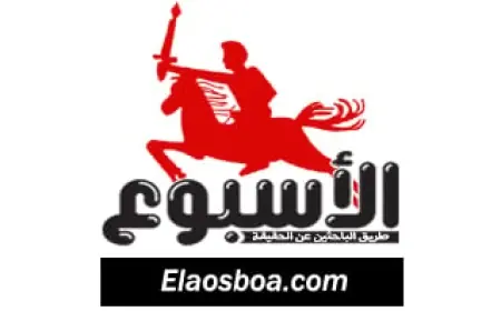 التضامن الاجتماعي تتدخل بسرعة لإنقاذ أم تعرضت للاعتداء من نجليها