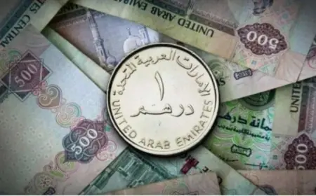 تعرّف على سعر الدرهم الإماراتي مقابل الجنيه المصري اليوم الأحد 30 أغسطس 2026