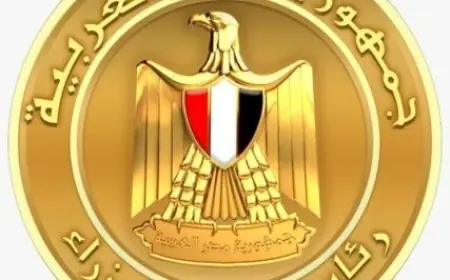 الحكومة تكشف خطة مبتكرة لزيادة الإيرادات وتقليل التكاليف دون الاعتماد على مقايضة الأصول