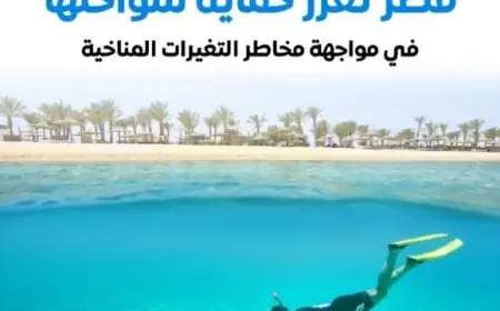 إعلامي الوزراء يكشف عن أهم المشاريع لحماية سواحل الدولة من تأثيرات التغيرات المناخية